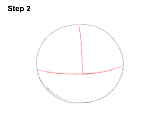 Draw a Raccoon Head 2 How to Draw a Raccoon Head Face Portrait 2