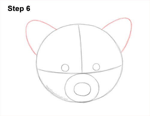 How to Draw a Raccoon Head Face Portrait 6
