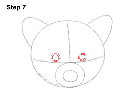 How to Draw a Raccoon Head Face Portrait 7