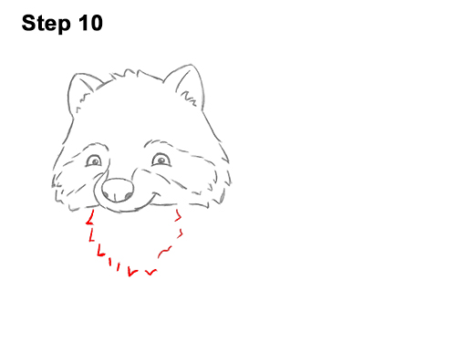 Draw a Cartoon Raccoon 10 How to Draw Cute Cartoon Raccoon 10