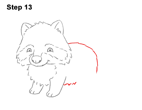 How to Draw Cute Cartoon Raccoon 13