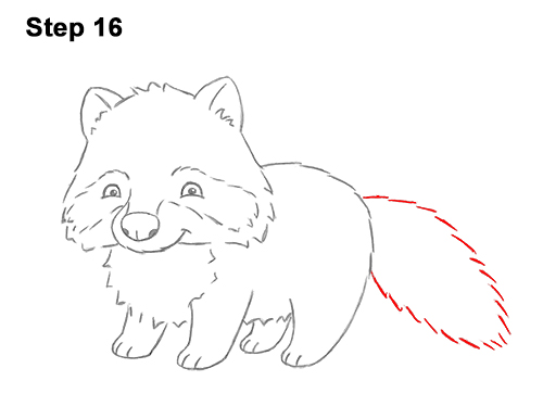 Draw a Cartoon Raccoon 16 How to Draw Cute Cartoon Raccoon 16