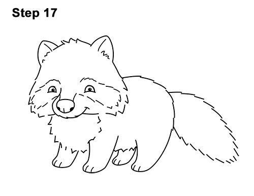 Draw a Cartoon Raccoon 17 How to Draw Cute Cartoon Raccoon 17