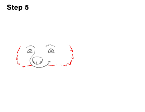 How to Draw Cute Cartoon Raccoon 5