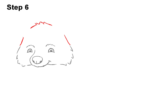 Draw a Cartoon Raccoon 6 How to Draw Cute Cartoon Raccoon 6