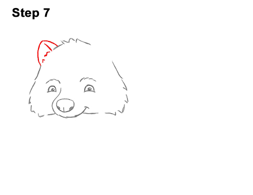 Draw a Cartoon Raccoon 7 How to Draw Cute Cartoon Raccoon 7