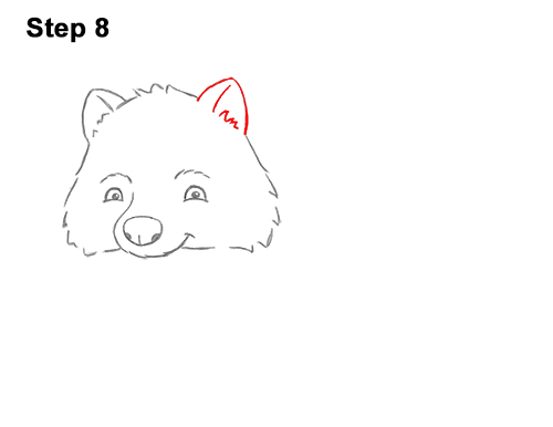 Draw a Cartoon Raccoon 8 How to Draw Cute Cartoon Raccoon 8
