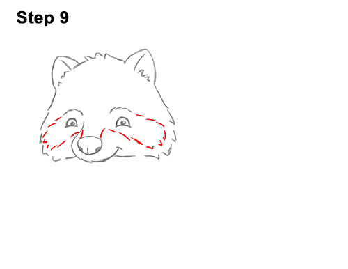 Draw a Cartoon Raccoon 9 How to Draw Cute Cartoon Raccoon 9