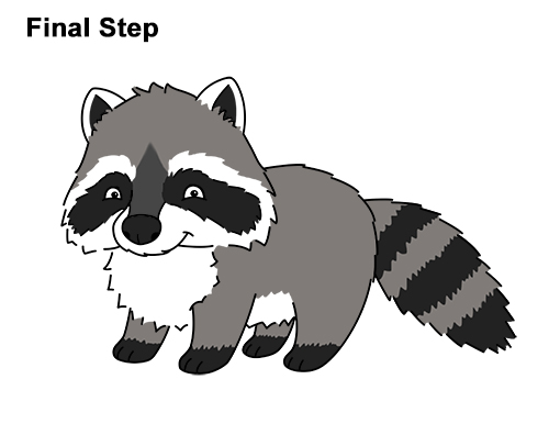 Draw a Cartoon Raccoon How to Draw Cute Cartoon Raccoon