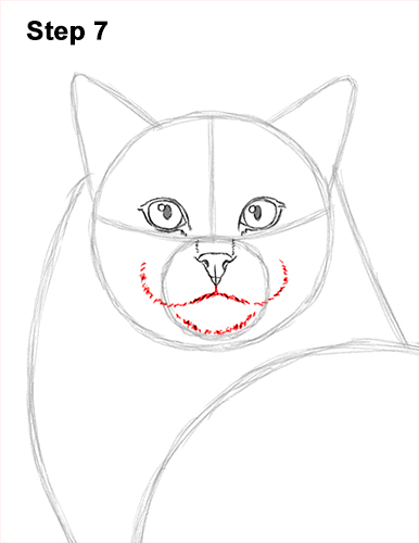 Draw a Ragdoll Cat 7 How to Draw a Ragdoll Cat Sitting 7