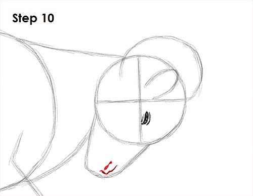 Bighorn Ram Drawing 10 Draw Bighorn Ram 10
