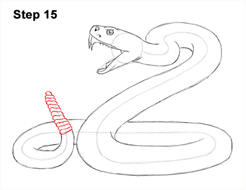 Draw Diamondback Rattlesnake 15