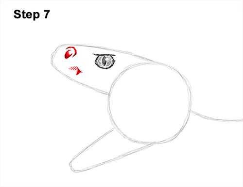 Rattlesnake Drawing 7 Draw Diamondback Rattlesnake 7