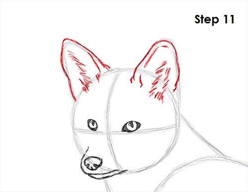 Draw Red Fox 11