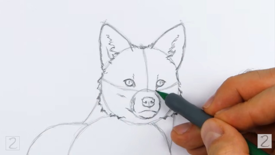 Draw the Facial Features