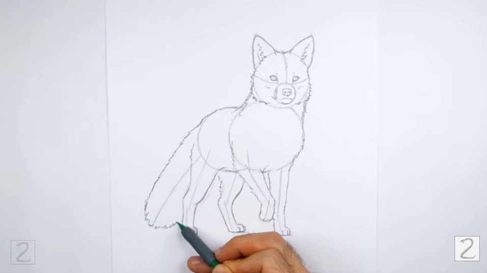 Finish Up the Body and Tail