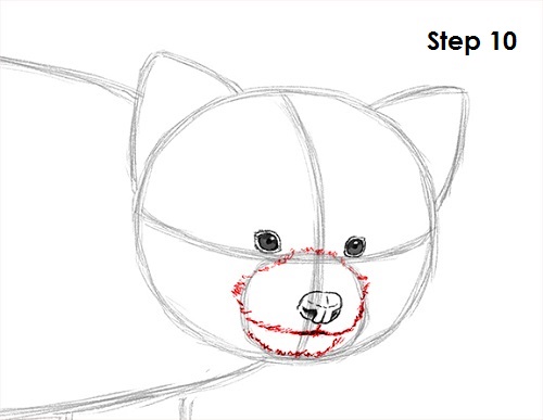 Draw Red Panda 10