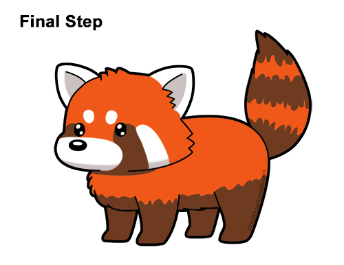 Draw a Cute Cartoon Red Panda How to Draw a Cute Cartoon Red Panda Chibi Kawaii