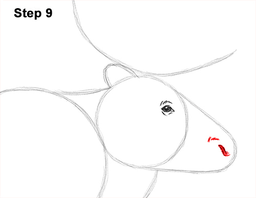 Draw Reindeer Caribou 9