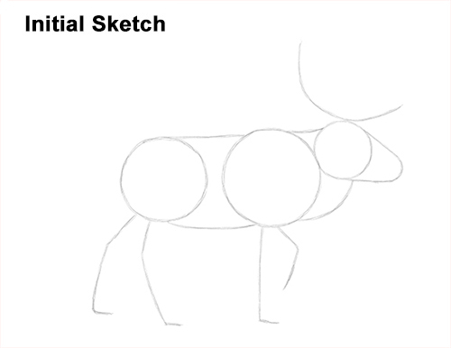Draw Reindeer Caribou Sketch