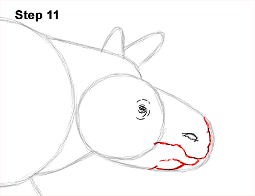 Draw an Indian Rhino 11 How to Draw an Indian Greater One Horned Rhinoceros 11