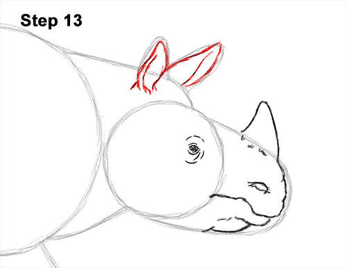 Draw an Indian Rhino 13 How to Draw an Indian Greater One Horned Rhinoceros 13