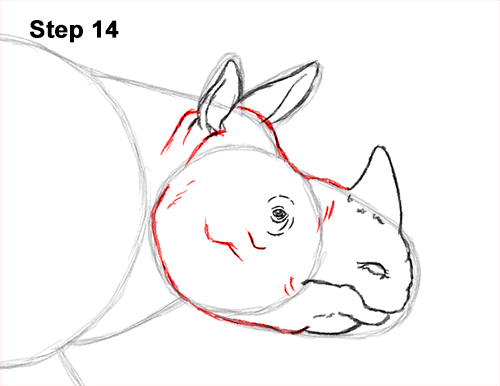 Draw an Indian Rhino 14 How to Draw an Indian Greater One Horned Rhinoceros 14