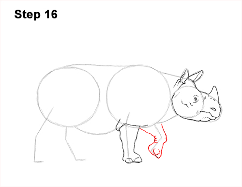 How to Draw an Indian Greater One Horned Rhinoceros 16