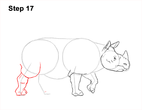 How to Draw an Indian Greater One Horned Rhinoceros 17