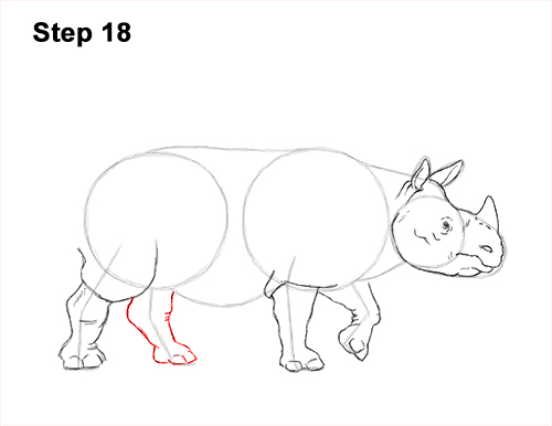How to Draw an Indian Greater One Horned Rhinoceros 18