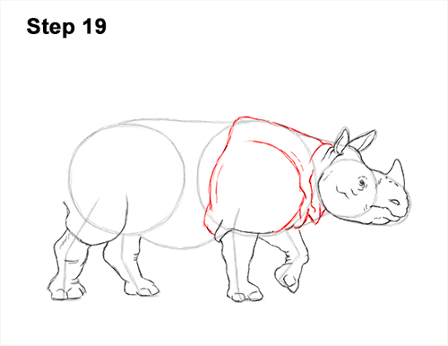 How to Draw an Indian Greater One Horned Rhinoceros 19
