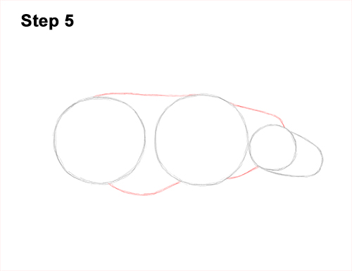 How to Draw an Indian Greater One Horned Rhinoceros 5
