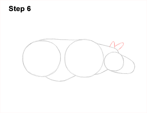 How to Draw an Indian Greater One Horned Rhinoceros 6