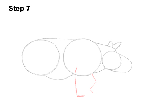 How to Draw an Indian Greater One Horned Rhinoceros 7