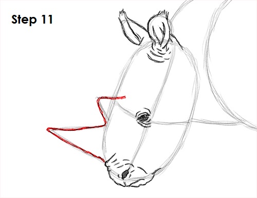 Rhinoceros Drawing 11 Draw Rhinoceros 11