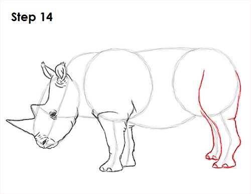 Rhinoceros Drawing 14 Draw Rhinoceros 14