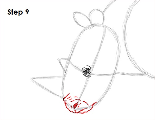 Rhinoceros Drawing 9 Draw Rhinoceros 9