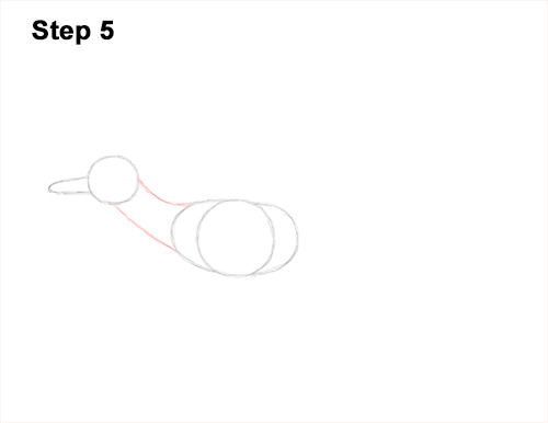 Draw a Roadrunner 5 How to Draw a Greater Roadrunner Running 5