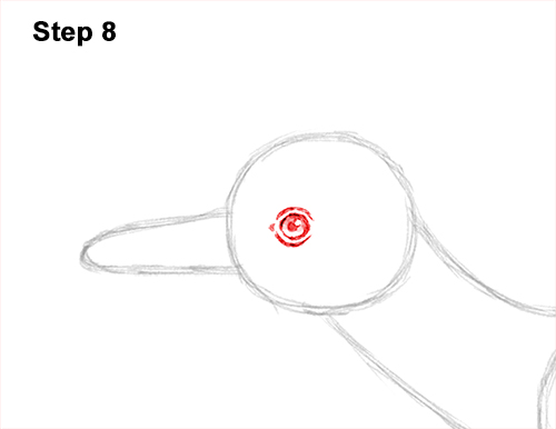 How to Draw a Greater Roadrunner Running 8