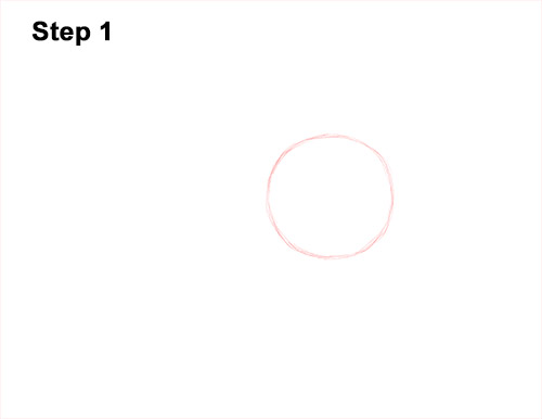 Draw an American Robin 1 How to Draw an American Robin Bird Color 1