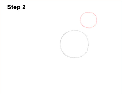 Draw an American Robin 2 How to Draw an American Robin Bird Color 2