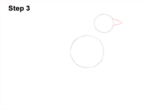 Draw an American Robin 3 How to Draw an American Robin Bird Color 3