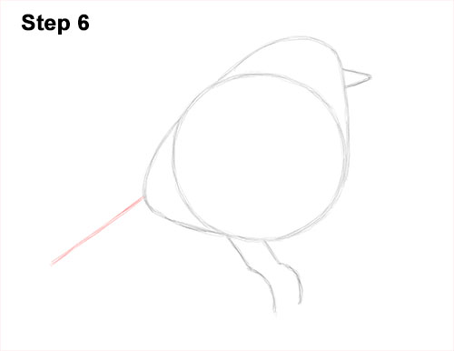 Draw a European Robin Bird 6 How to Draw a Cute Fluffy European Robin Bird 6