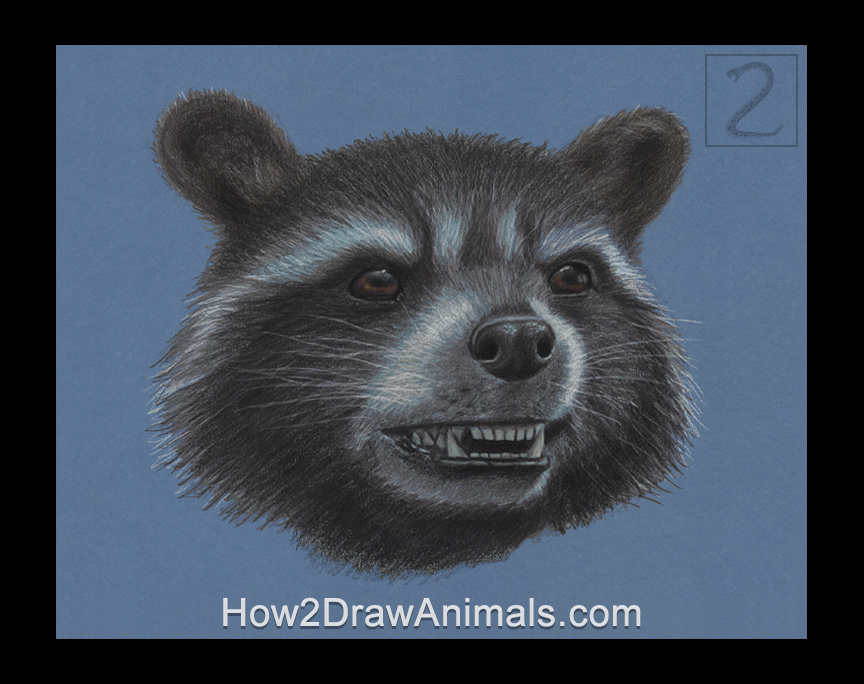 Rocket Raccoon Portrait Drawing Marvel