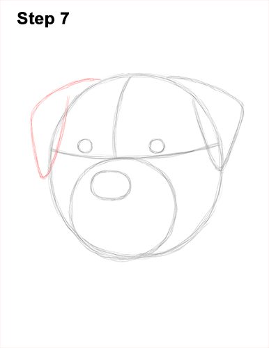 Draw Rottweiler Dog Head 7 How to Draw a Rottweiler Dog Head Portrait Face 7