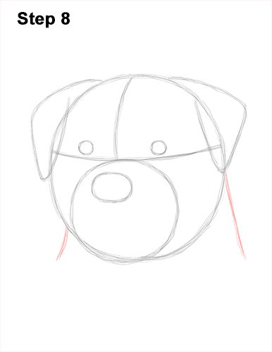 Draw Rottweiler Dog Head 8 How to Draw a Rottweiler Dog Head Portrait Face 8