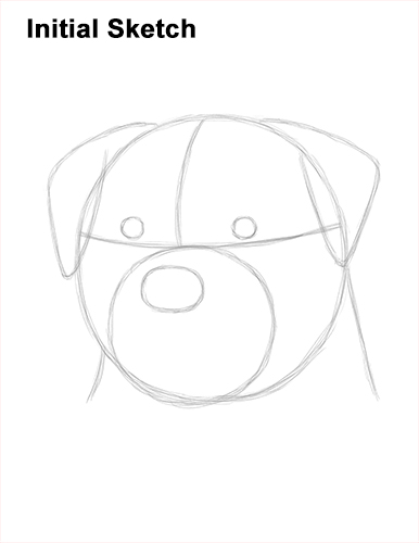 Draw Rottweiler Dog Head Guidelines How to Draw a Rottweiler Dog Head Portrait Face Guide Lines