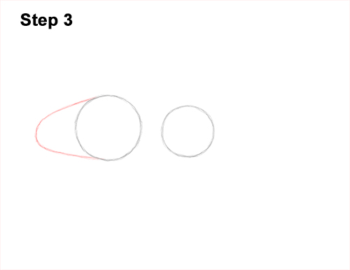 Draw Royal Gramma Fish 3 How to Draw a Royal Gramma Fairy Basslet Fish 3