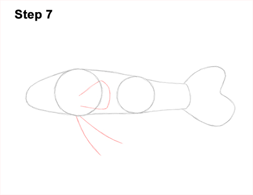 How to Draw a Royal Gramma Fairy Basslet Fish 7