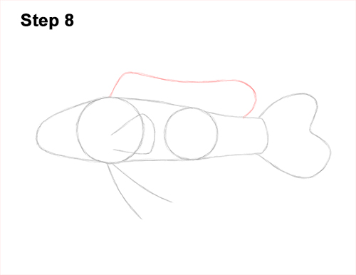 How to Draw a Royal Gramma Fairy Basslet Fish 8